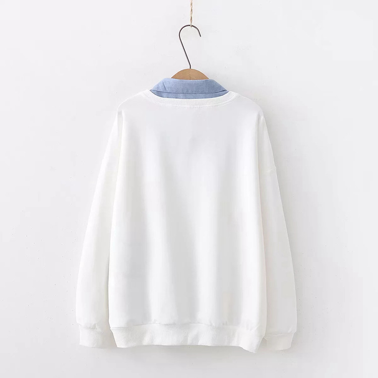 Title 1, Kindlicher Katzen-Langarmpullover