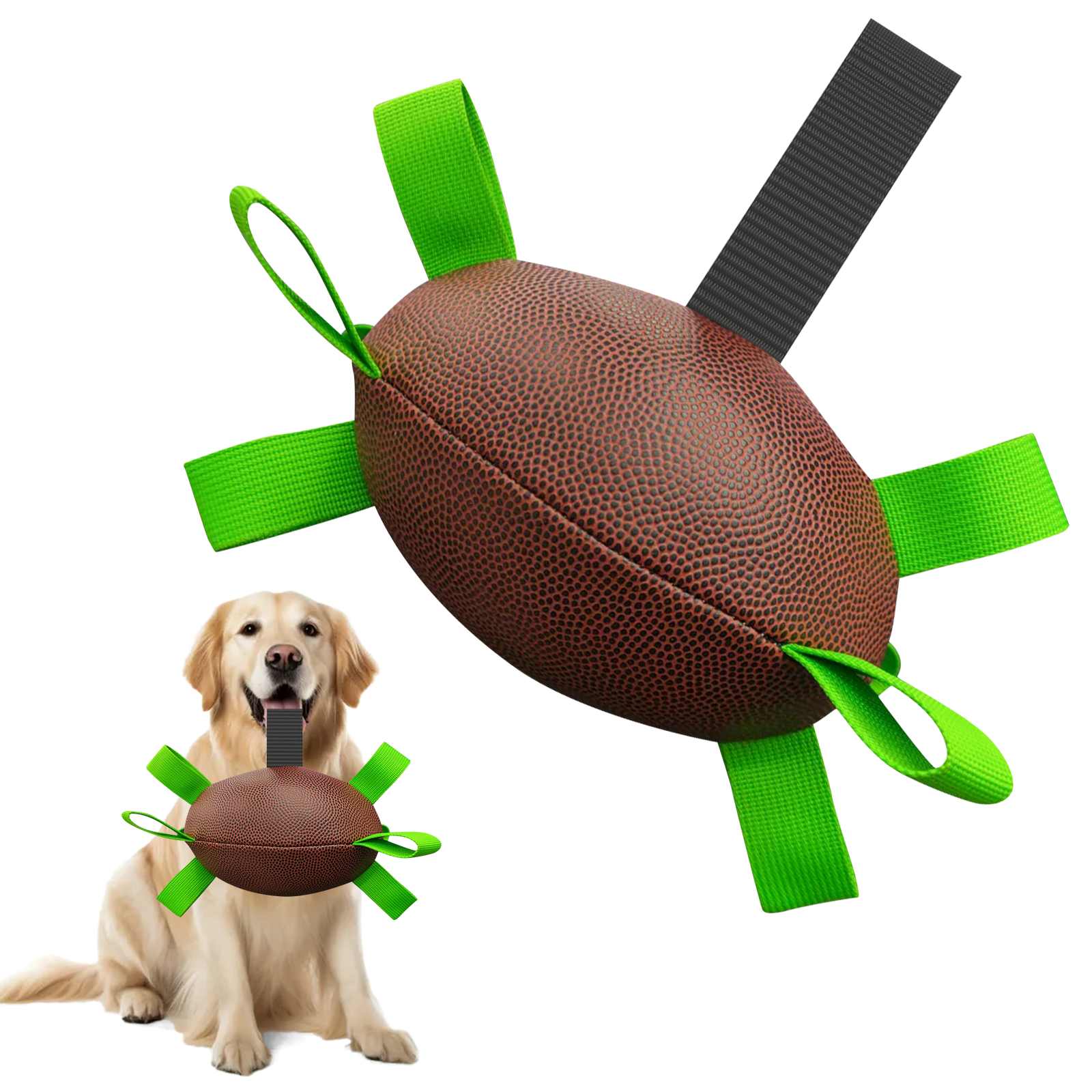 Dog Rugby Football Interactive Toy for Small/Medium Breeds.