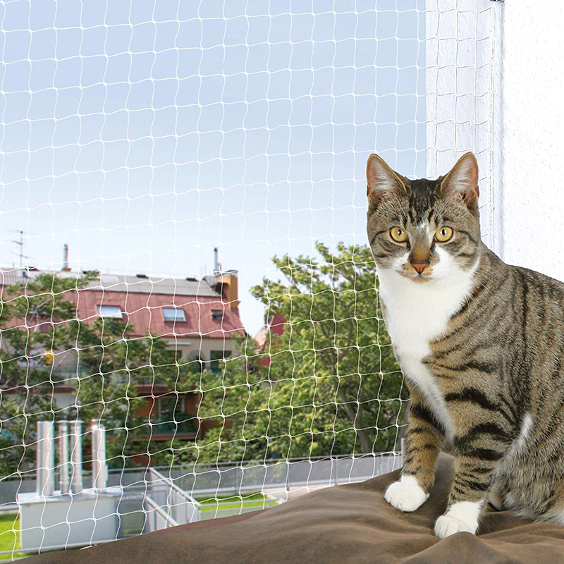 Title 5, Cat balcony isolation net