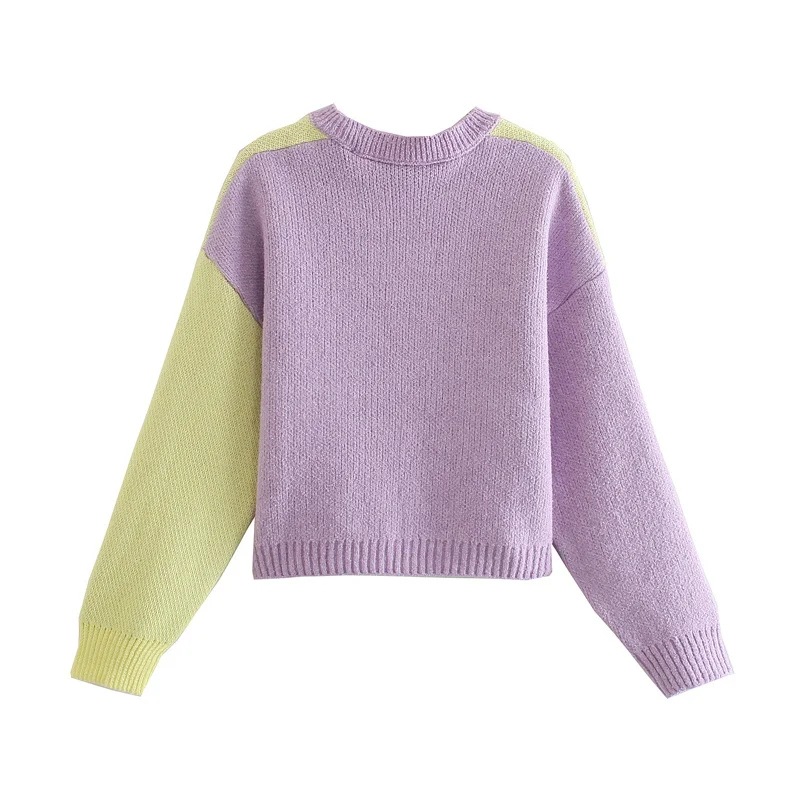 Contrast Color Crew Neck Sweater Women's Loose Top