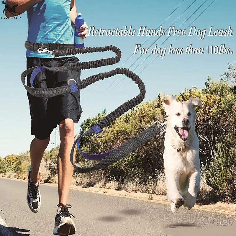 Direct Pet Supplies Multi-function Running Reflective Pull Dog Leash