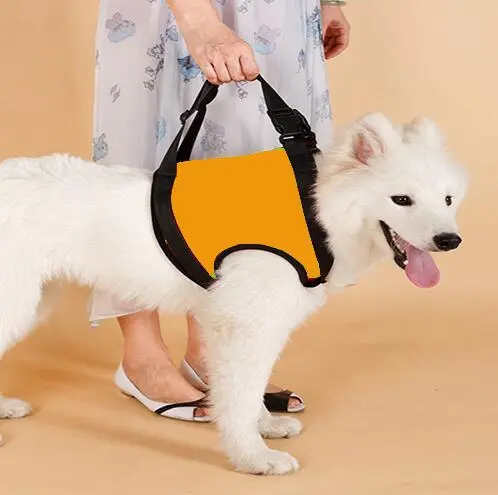 Old Disabled Golden Retriever Dog Pet Auxiliary Strap Orange Front Leg - Shop at LoveMi