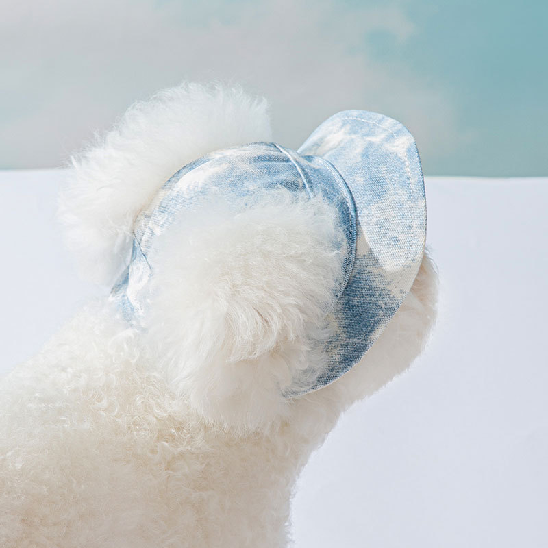 Pet Hats With Ear Holes Adjustable Puppy Dog Cap Hat For Small Medium Dogs Pug Mascotas Accessories Costume