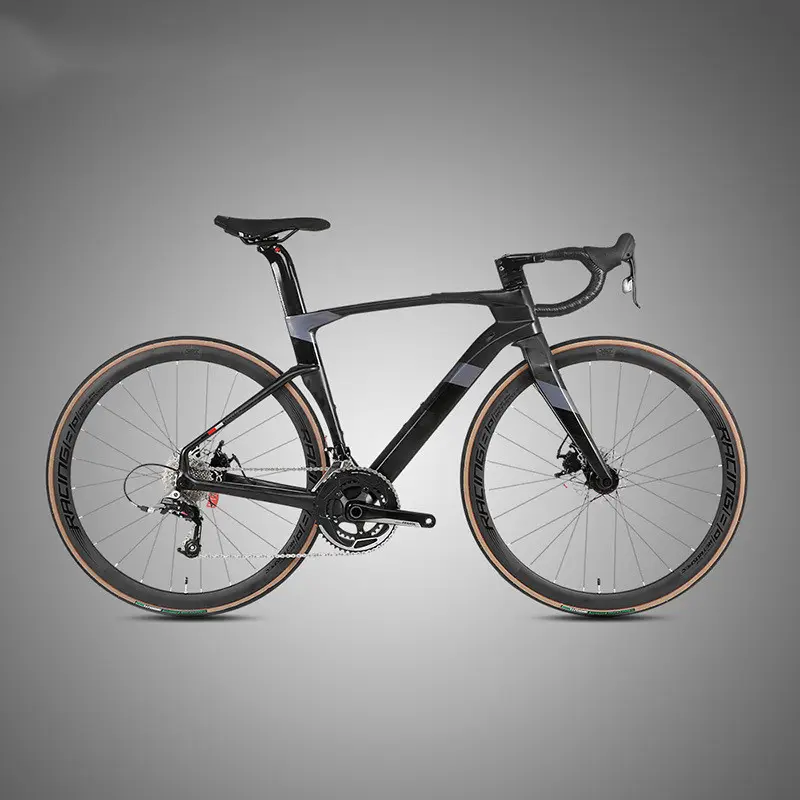 Fully Hidden Carbon Fiber Disc Brake Road