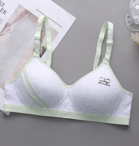 Title 1, Japanese Style Small Chest Push Up Bra