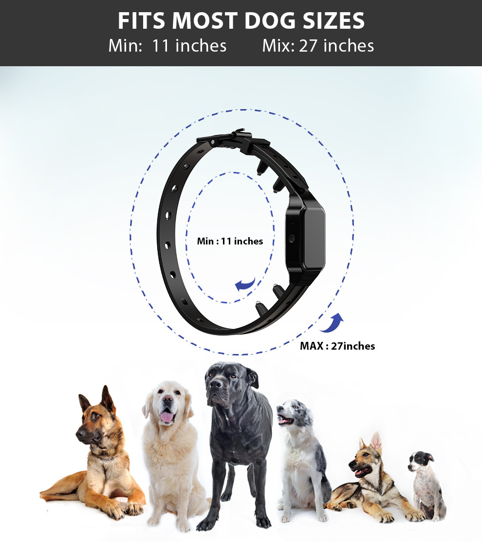 Title 1, Collare elettronico per laddestramento cani, c...