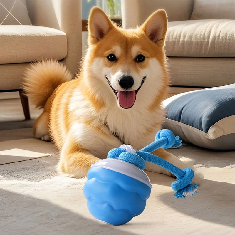 Chase Buddy Puppy Ball Ropes
