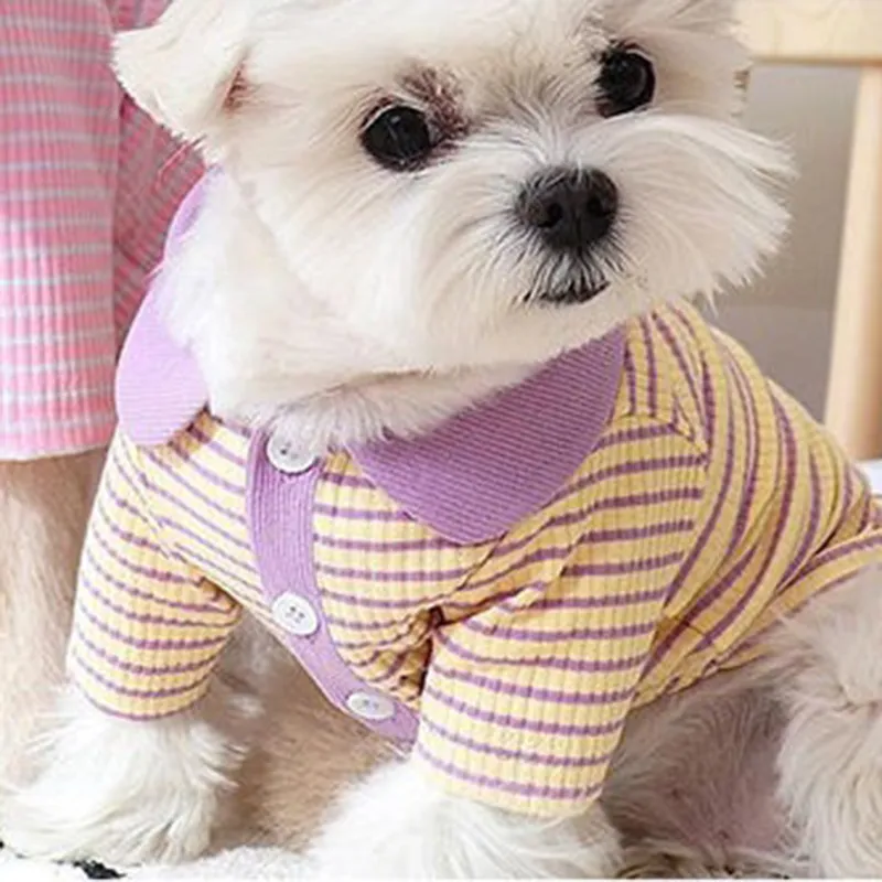 Fashion Personality Cat Dog Stripe Polo Shirt - Purple And Yellow Stripes
