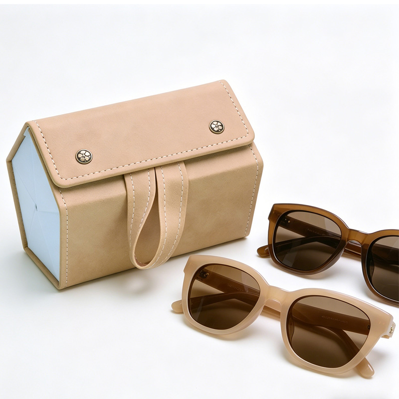 5in1 Sunglasses Travel Case Organizer Hangable, Eyeglasses Foldable Storage Organizer