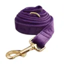 Dog Leash3