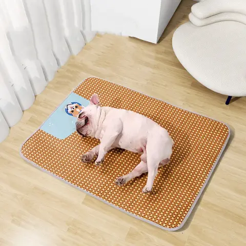 Seasonal Cooling Mat for Small and Large Pets