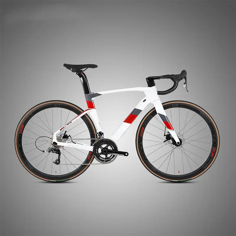 Fully Hidden Carbon Fiber Disc Brake Road