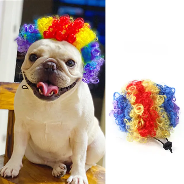 Halloween Christmas Wig Pet Hair Accessories Clown - Shop at LoveMi