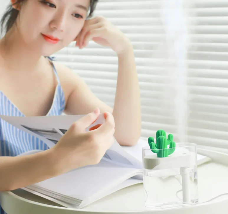 Transparent Landscape Cactus Portable Humidifier – image 7