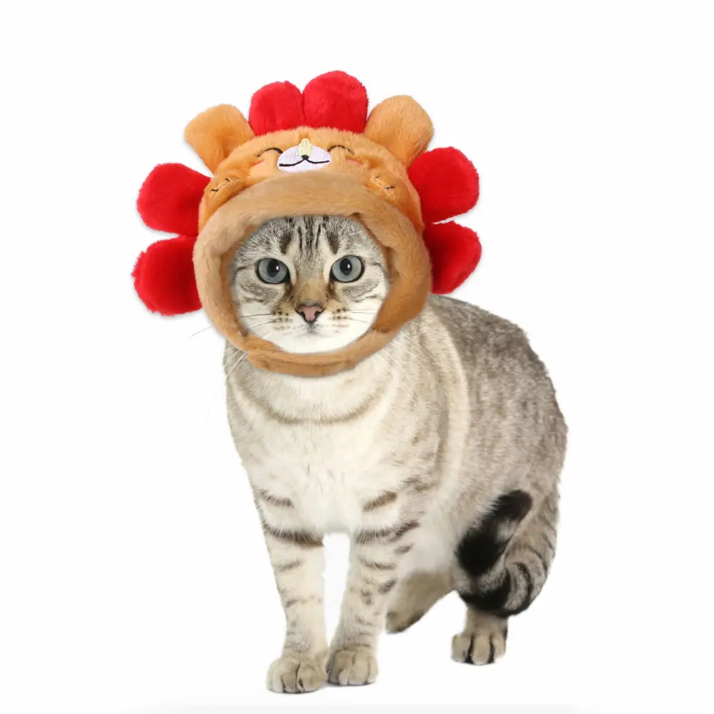 Curly Hair Pet Hat Cat Funny Dress