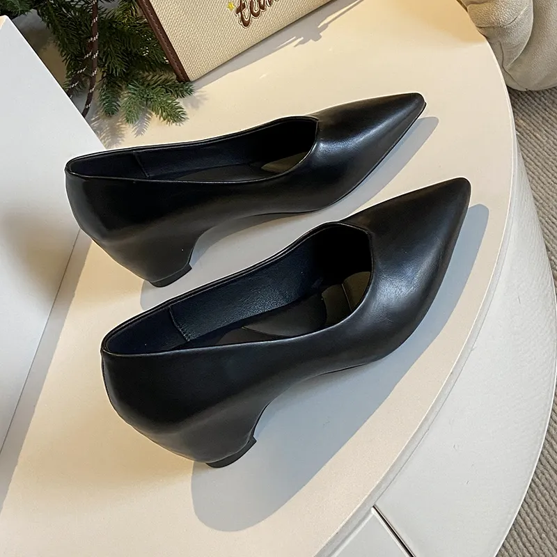 Pointed Toe Low Cut Pumps