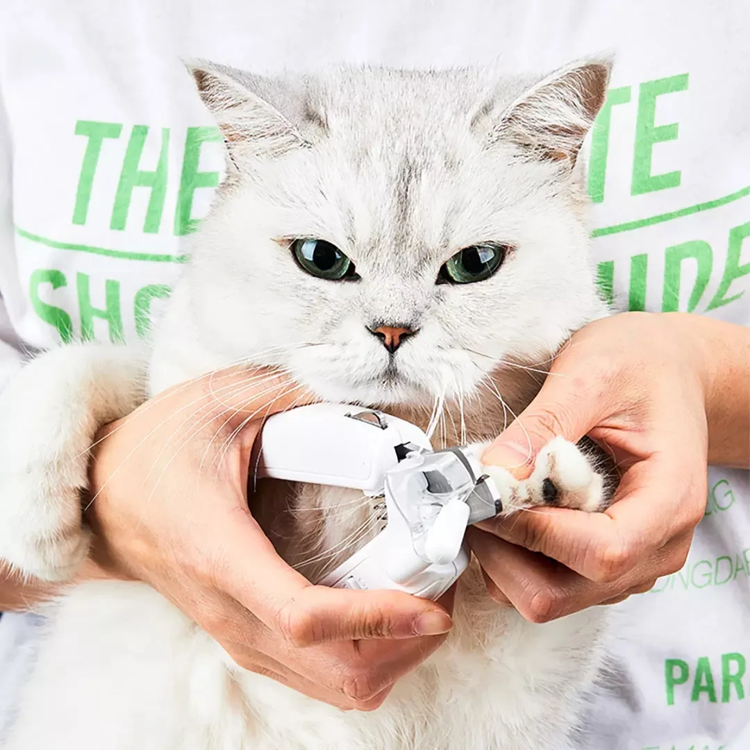 Professional Pet Nail Clipper Scissors Pet Dog Cat Nail Toe Claw Clippers Scissor LED Light Nail Trimmer For Animals Pet – image 3