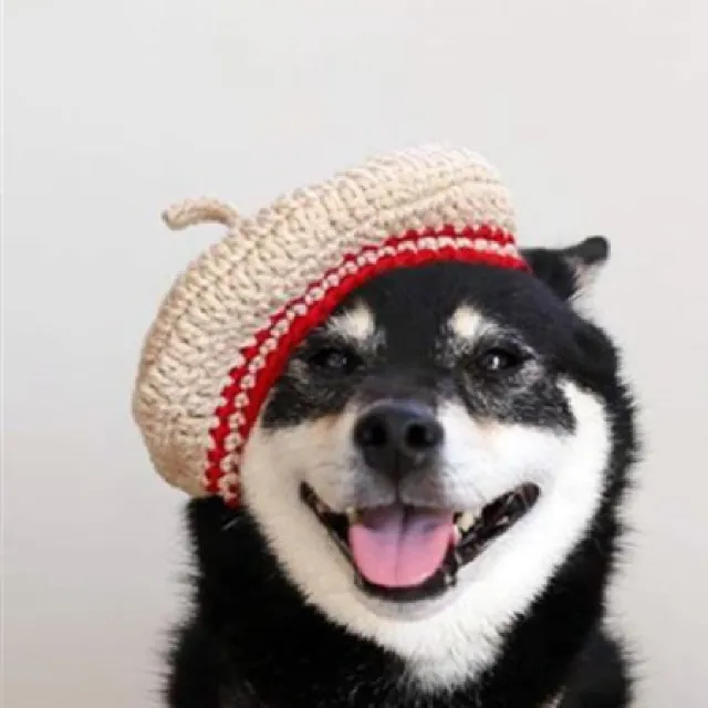 DIY Mini Mixed Color Hand knitted Beret Cute Pet Beige - Shop at LoveMi