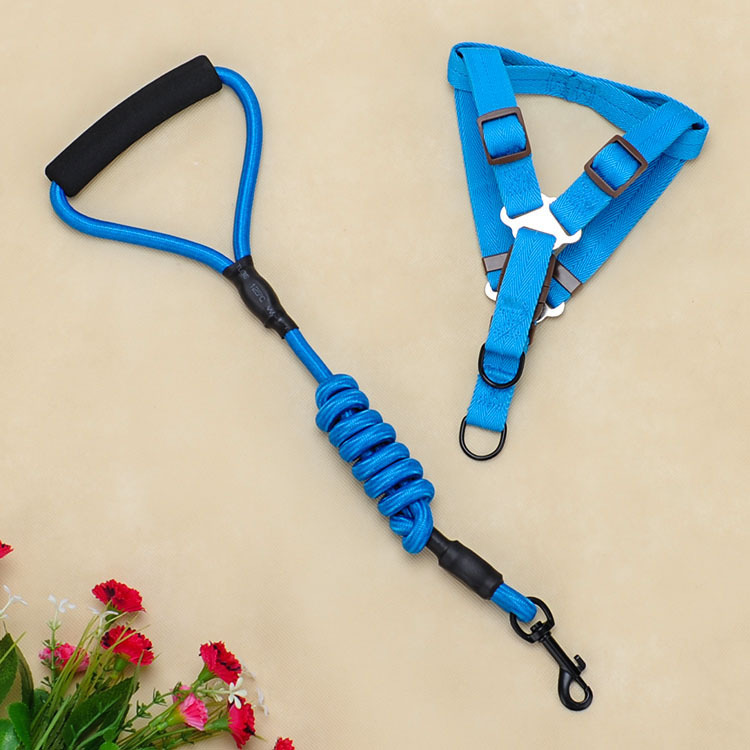 Pet supplies foam handle chest strap traction rope set Blue - Shop at LoveMi