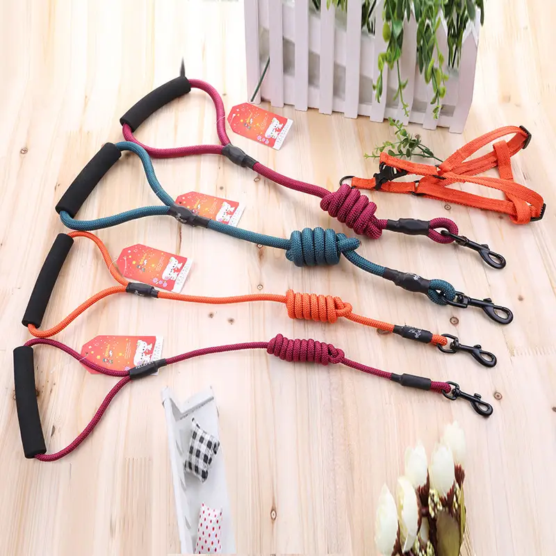 Pet nylon leash