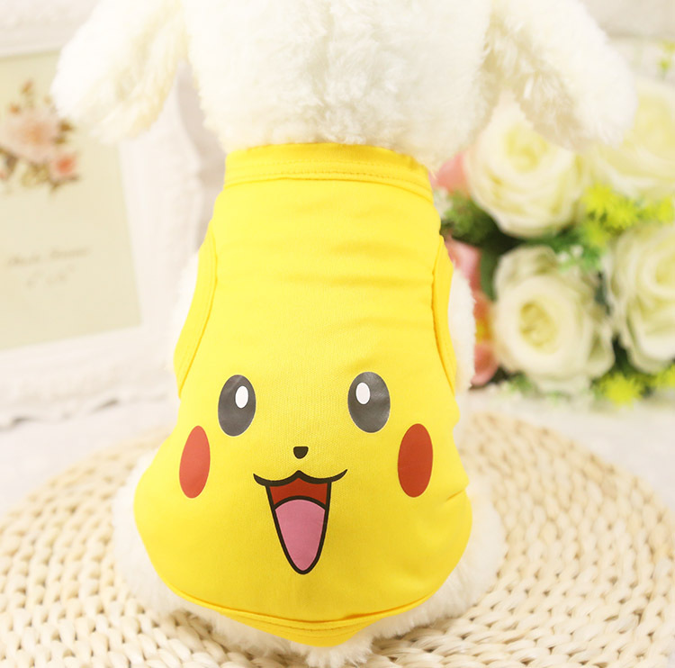 Yellow Picacho