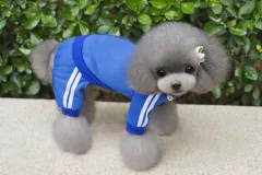 Teddy clothes dog hoodie - Blue - View 1