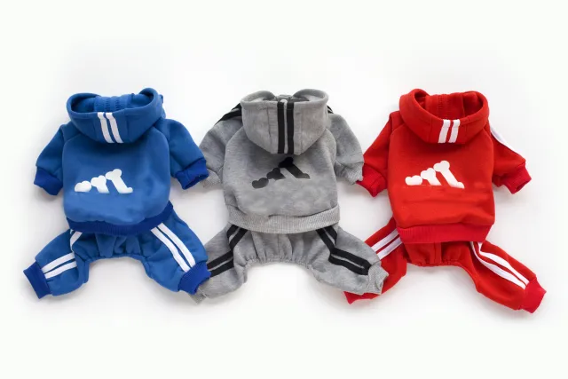 Teddy clothes dog hoodie Grey - Shop at LoveMi
