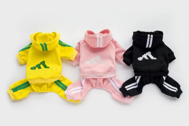 Teddy clothes dog hoodie Yellow - Shop at LoveMi