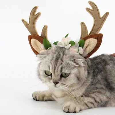 Christmas pet cat dog hat Photo Color - Shop at LoveMi