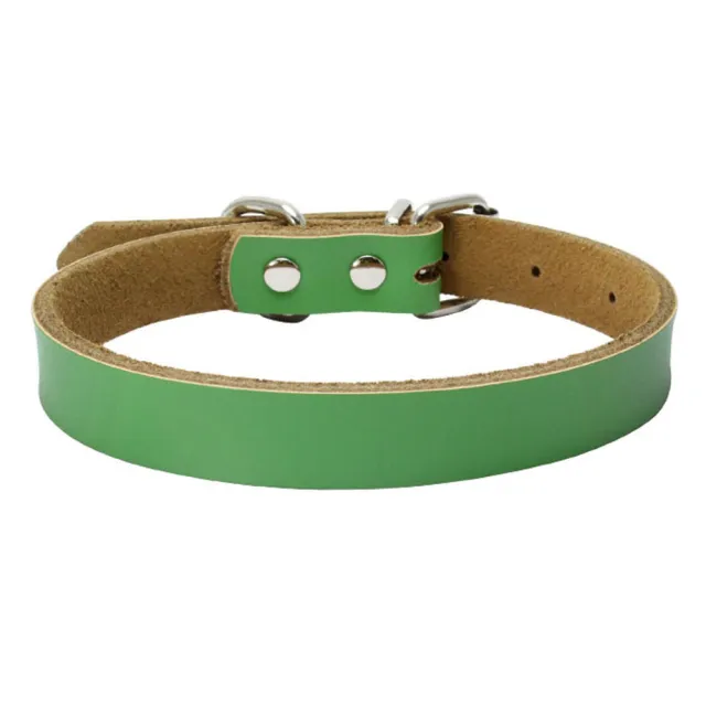 Pure leather pet collar Green - Shop at LoveMi