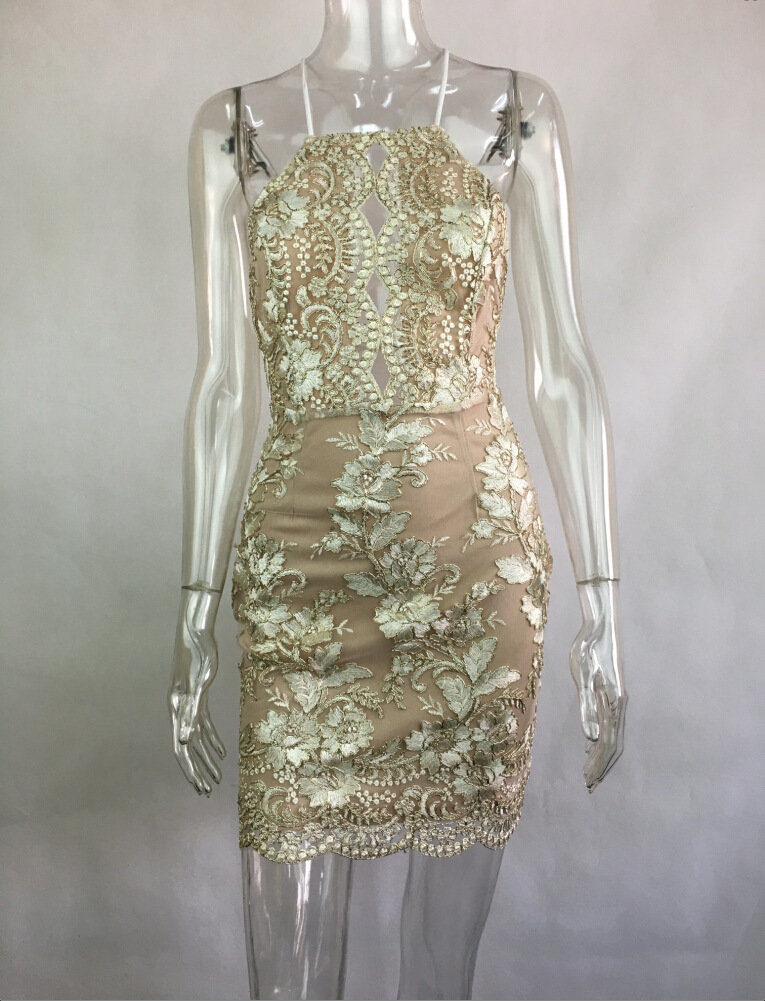 Cross border Women's Sexy Halter Dress Embroidery Lace Explosion