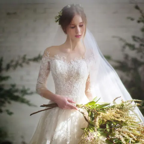 Wedding Dress Bride Lace Sleeves