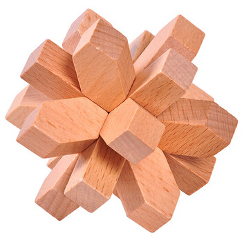 Wood Intelligence Interlocked Toy