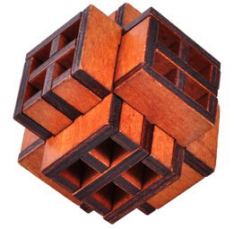 Wood Intelligence Interlocked Toy