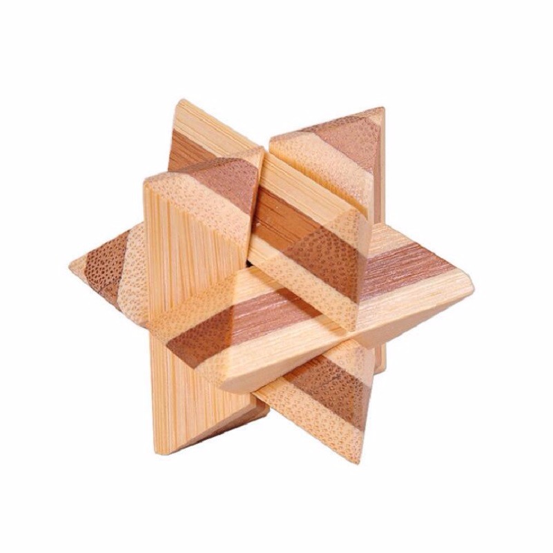 Wood Intelligence Interlocked Toy