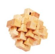 Wood Intelligence Interlocked Toy