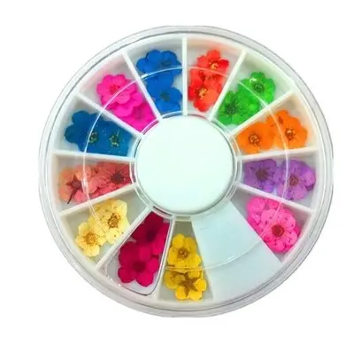 Nail Jewelry Small Dried Flowers