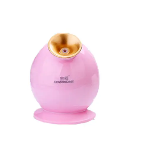 Gold Rice Steamer Cosmetic Instrument Nano Thermal Spray Evaporating