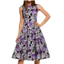 Lily Purple