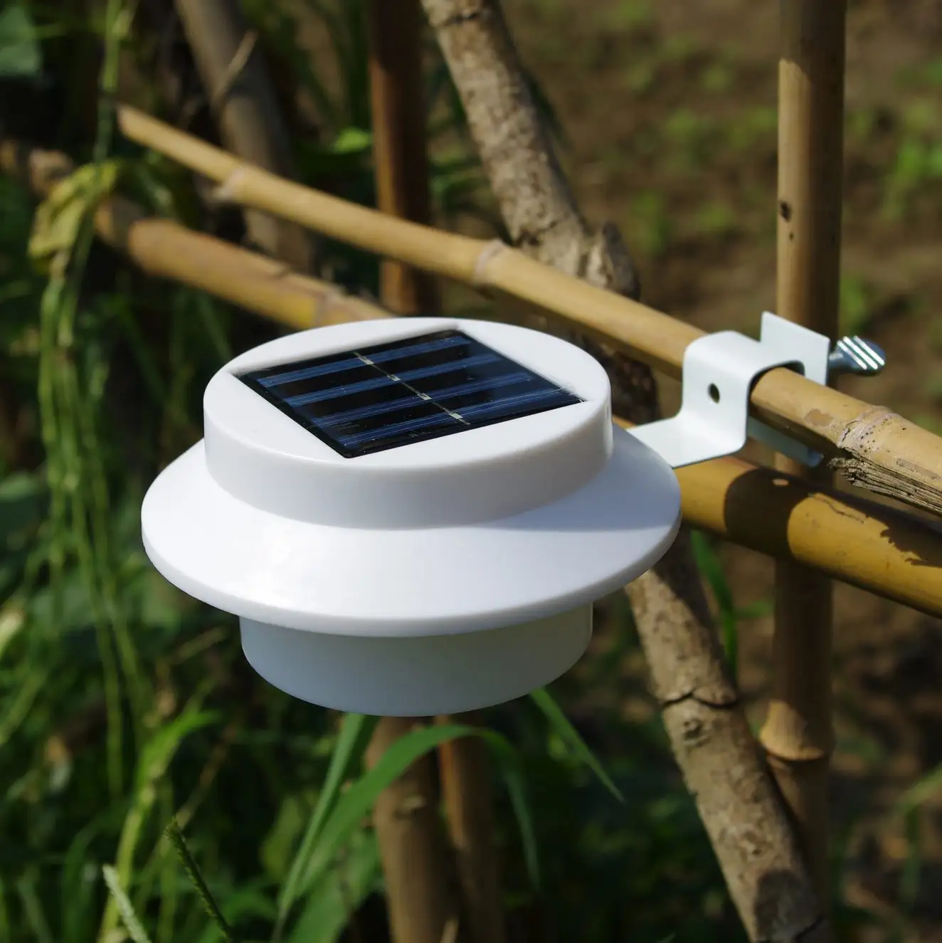 Enterprise Fence Lamp Jicai Solar Corridor Wall