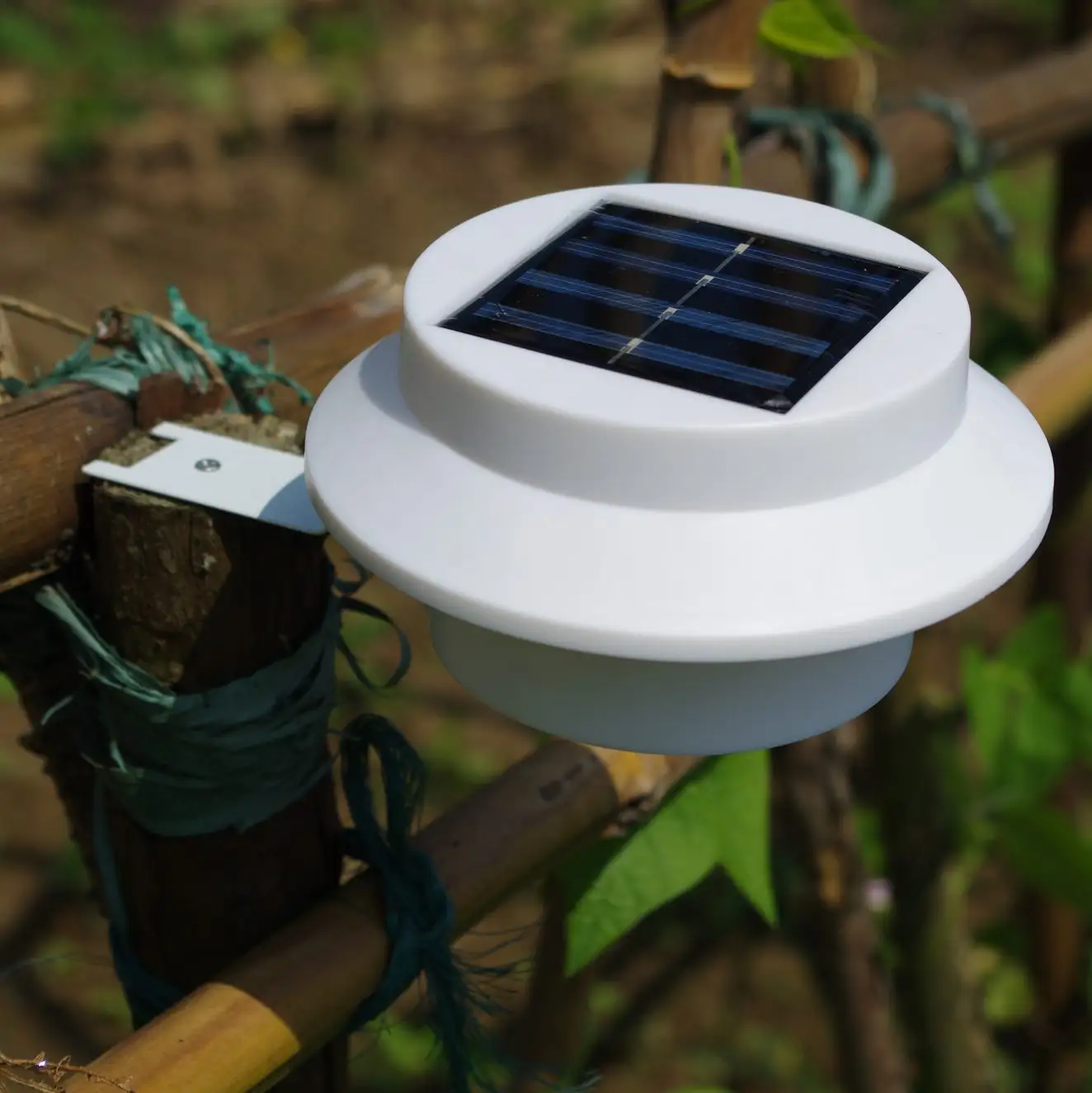 Enterprise Fence Lamp Jicai Solar Corridor Wall