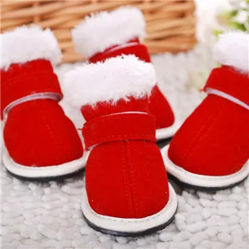 Pet shoes Red - Shop at LoveMi