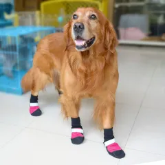 Super wear-resistant oxford pet shoes - Rose Red - View 1