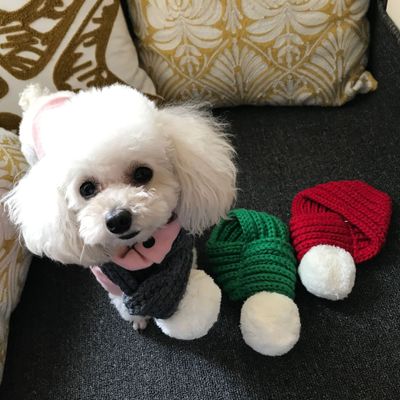 Шерстяной шарф, аксессуары для кошек и собак, шарф для домашних животных