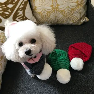 Wool Scarf Cat and Dog Accessories Pet