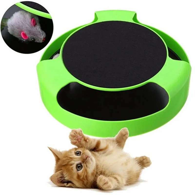 Cat Catch – image 2