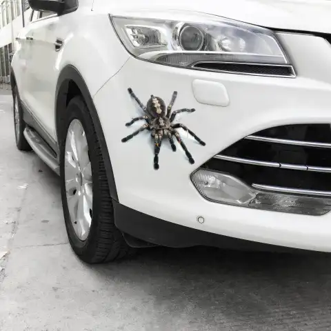 Car Stickers Creative Personality Scratches Blocking Body Decals