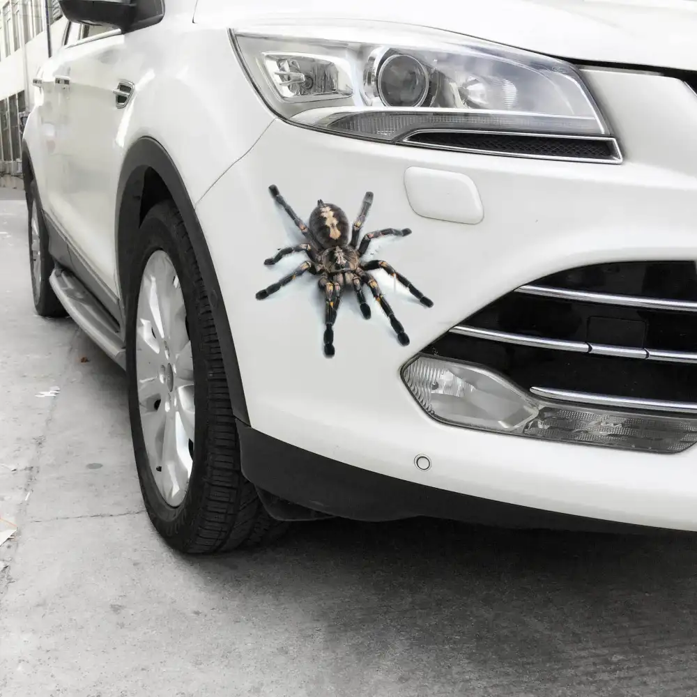 Car Stickers Creative Personality Scratches Blocking Body Decals