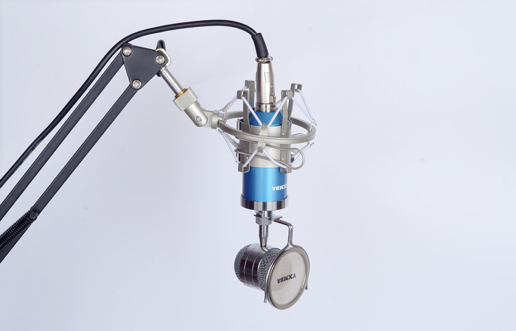 Direct manufacturers condenser mic Anne condenser - Image 5