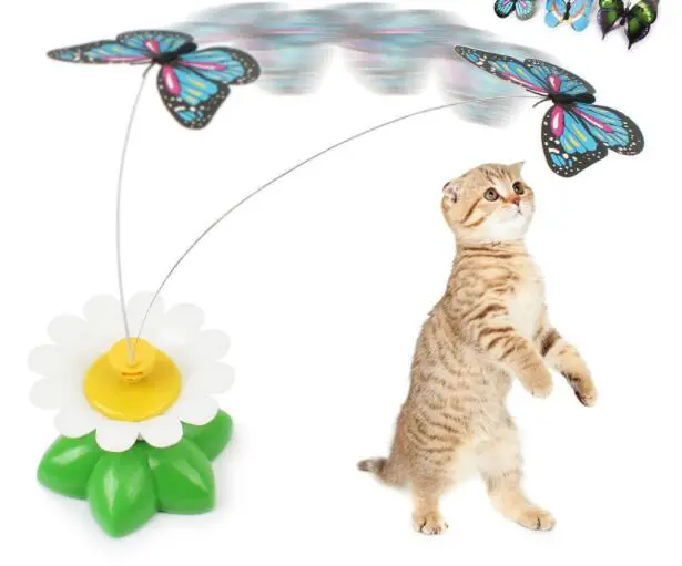 Electric Automatic Rotating Flower Pet Products – image 2